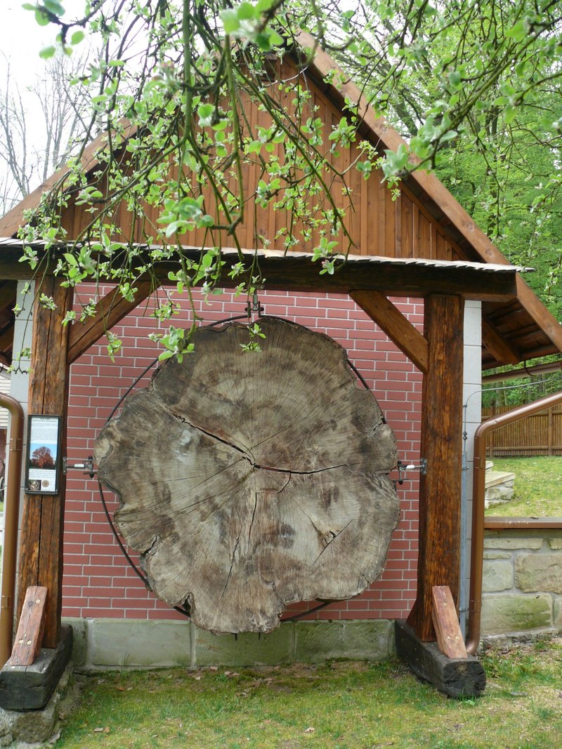 Švýcárna - interaktivní muzeum starokladrubského koně