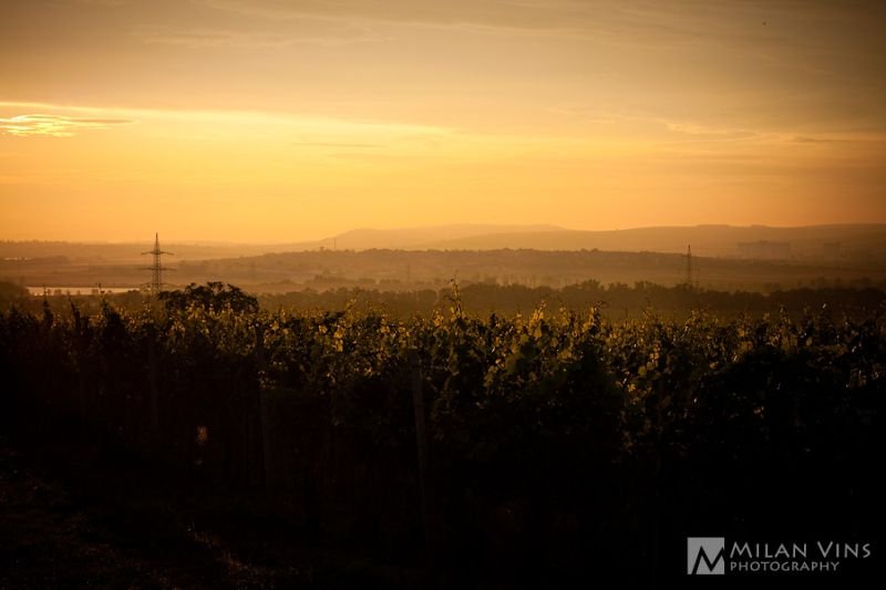Vinařství U Kapličky - restaurace