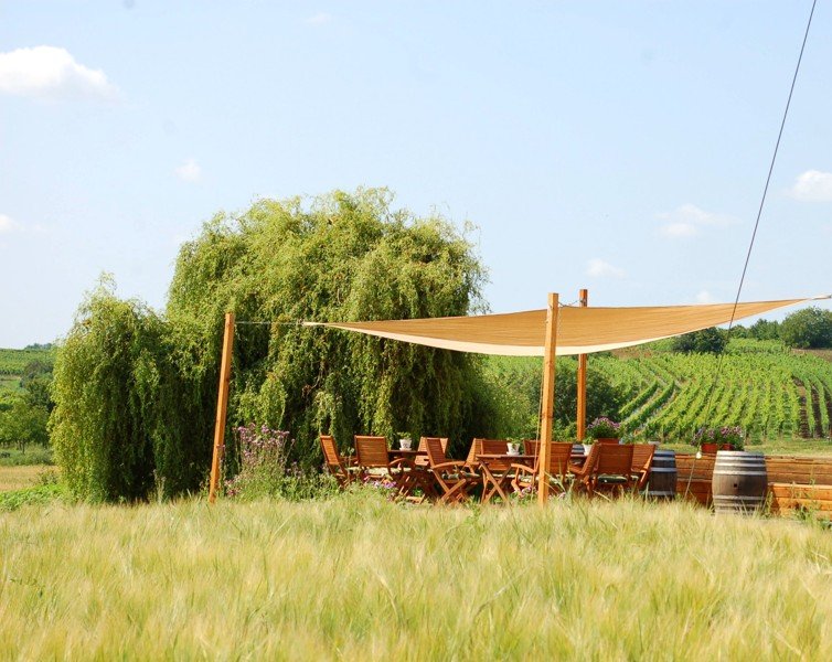 Vinařství Mikrosvín Mikulov, sklepy Dolní Dunajovice