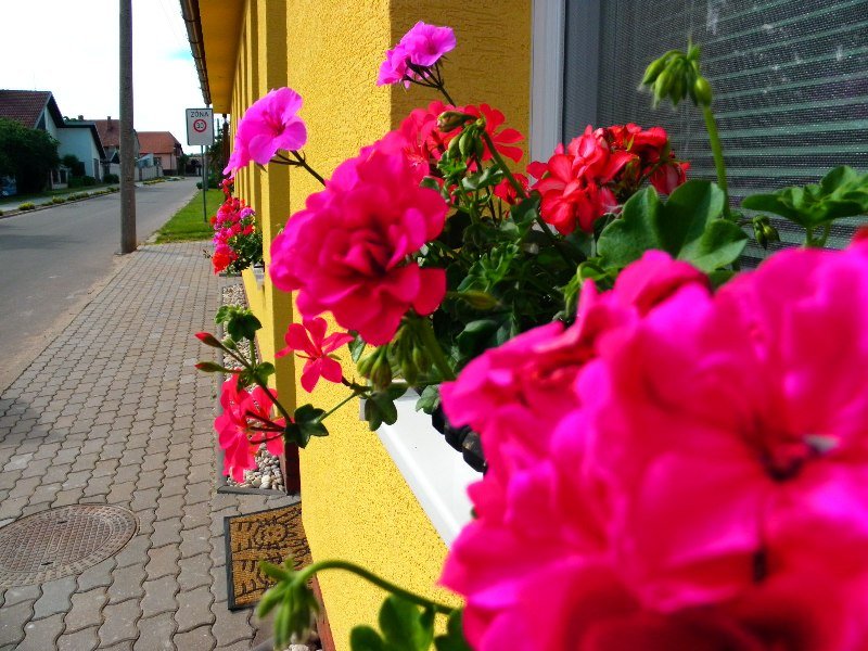 Ubytování "Lábadi"