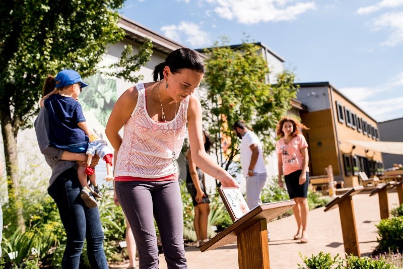 Bylinkový ráj Sonnentor