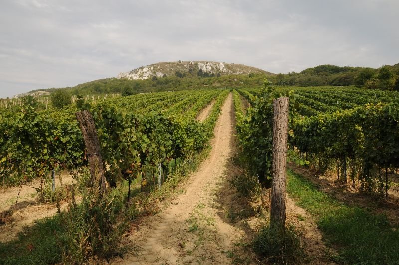 Pension U Obecní Šatlavy