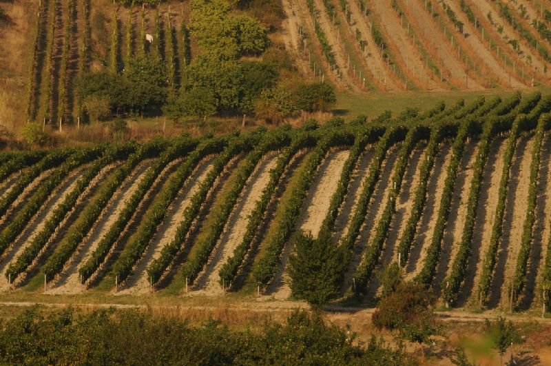 Pension U Obecní Šatlavy