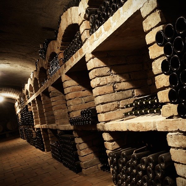 Degustační sklep Vino Hort