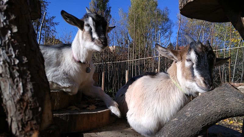 EKOPark s ubytováním****