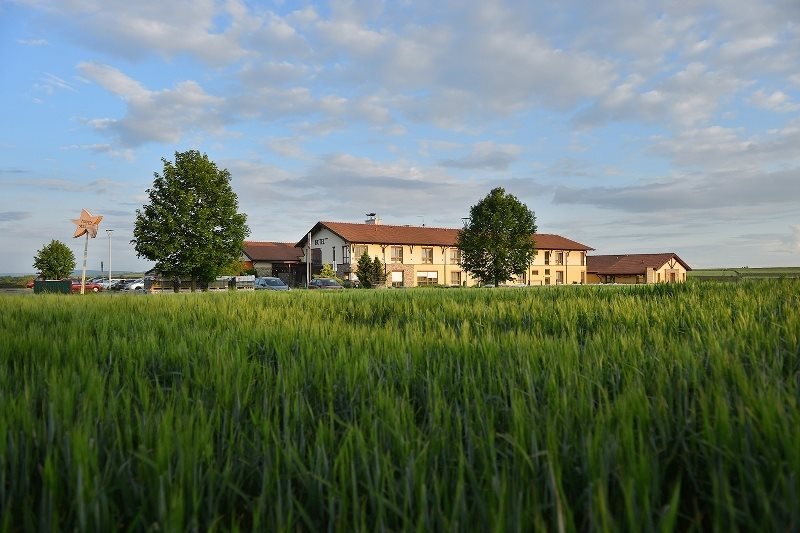 Hotel Happy Star - restaurace