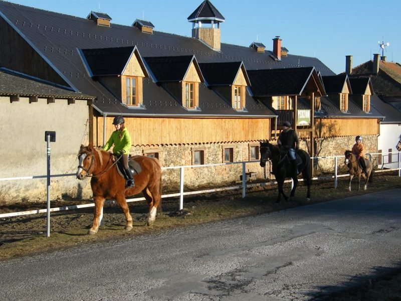 Penzion Dvůr Krasíkov