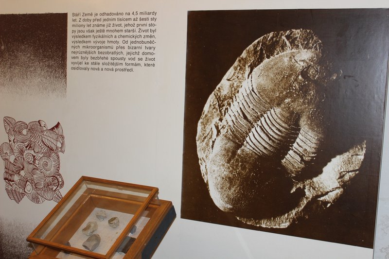 Turistické informační centrum - Městské muzeum Čelákovice