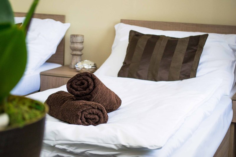 Penzion s wellness Uherské Hradiště