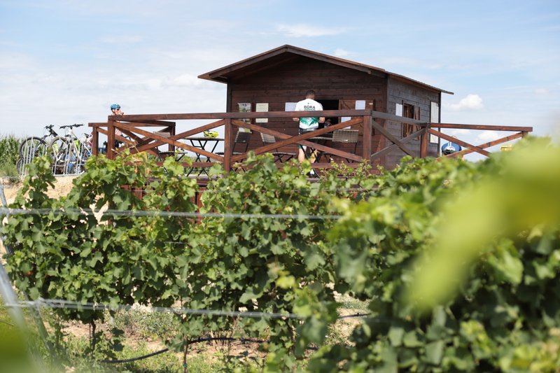 Degustační stánek Znovínu Znojmo na viniční trati Peklo v Šatově