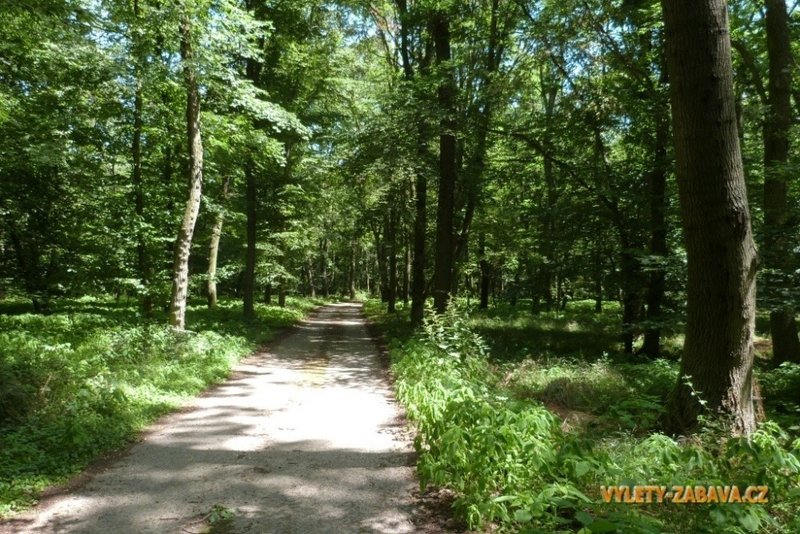 Penzion Starý dvůr