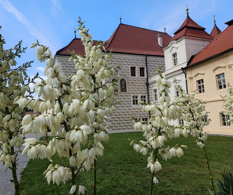 Kanonie premonstrátů v Želivě - návštěvnické centrum