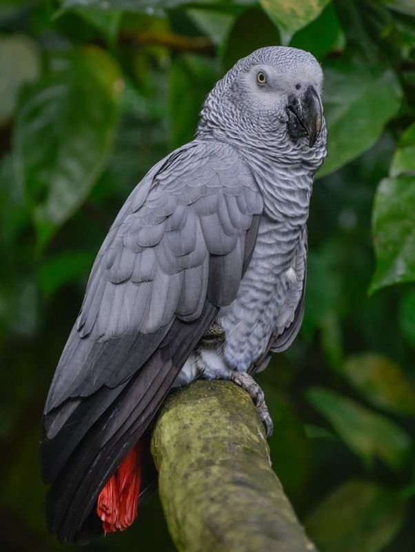 Zoopark Na Hrádečku