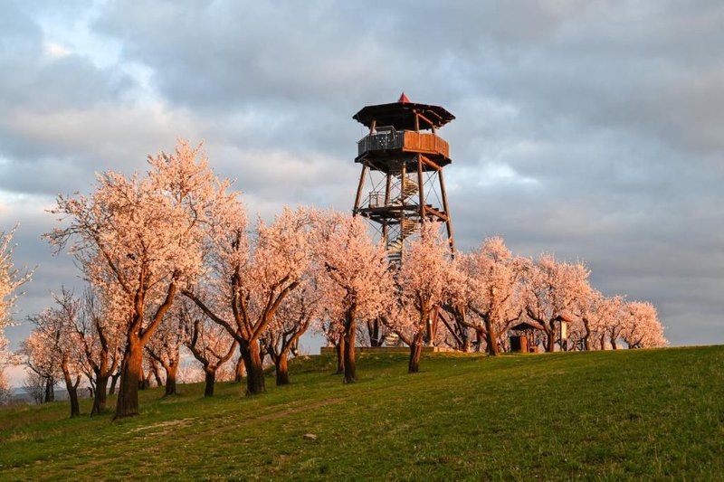Hotel Rustikal - restaurace