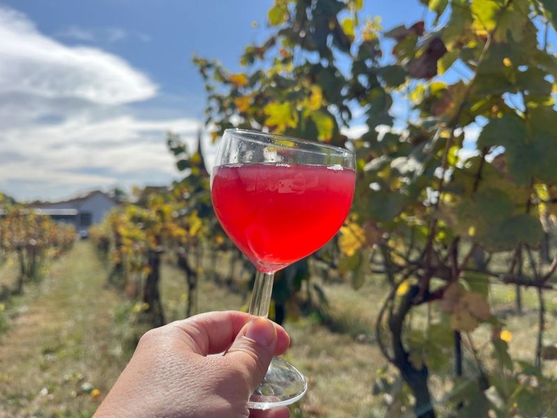 Stará Vinice - ubytování