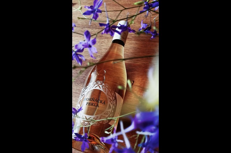 Penzion v rodinném vinařství Kadubcovi