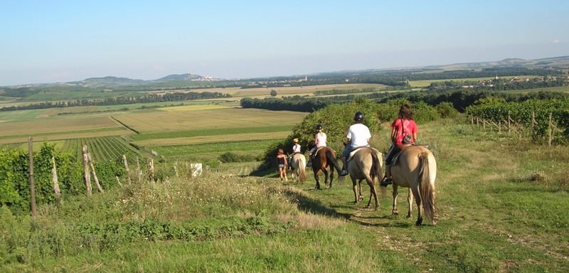 Jáňův dvůr - kemp