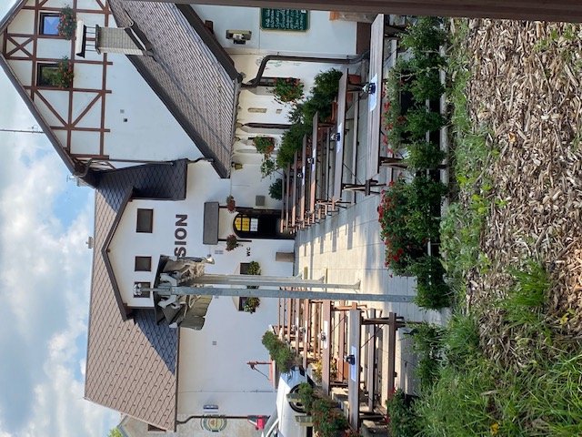 Hostinec U pejska a kočičky - penzion